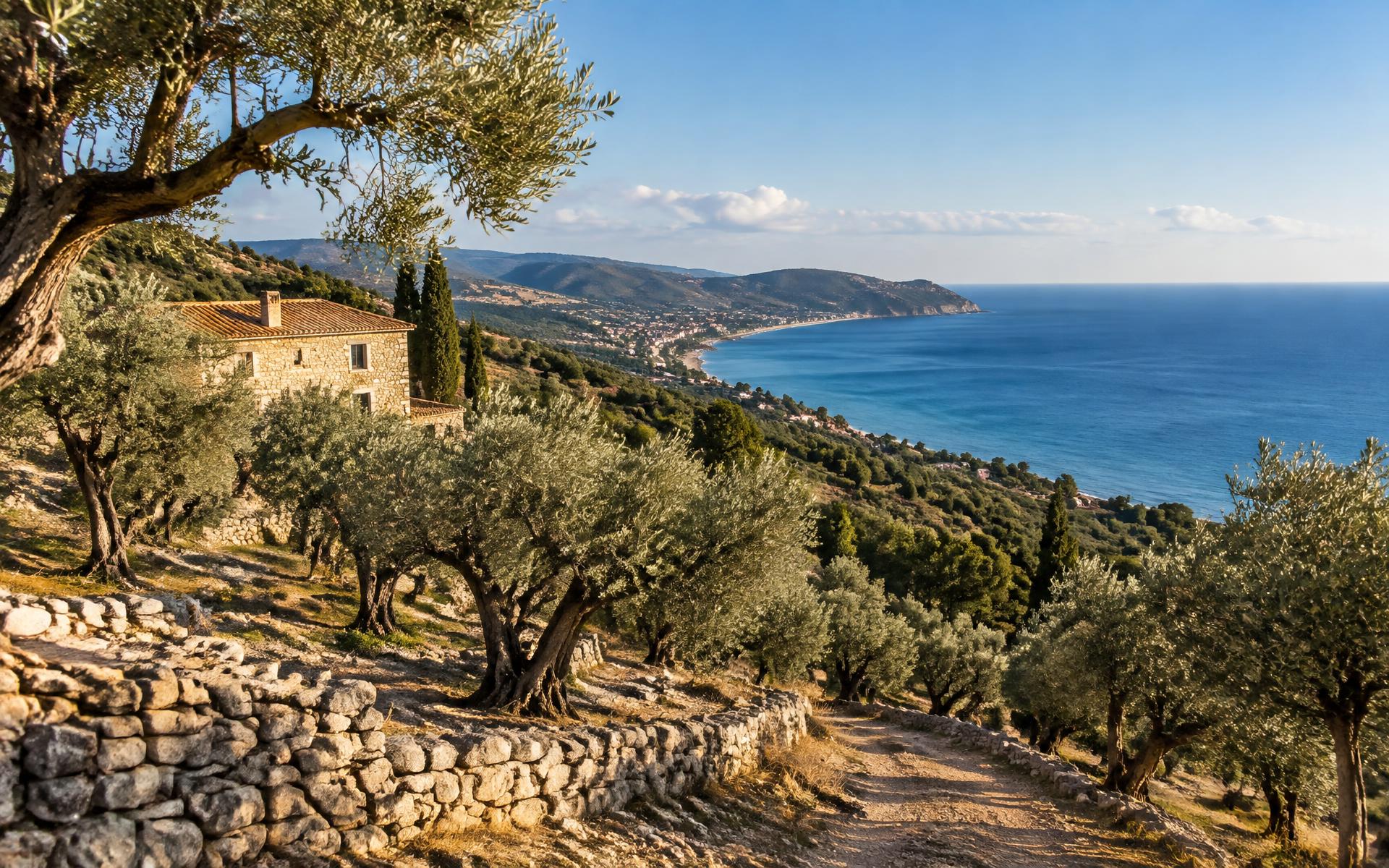 Tenuta Mater Terrae affacciata sul mare tra gli ulivi
